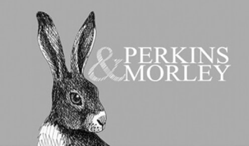 rabbit on grey background