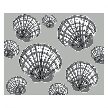 scallop shell pattern