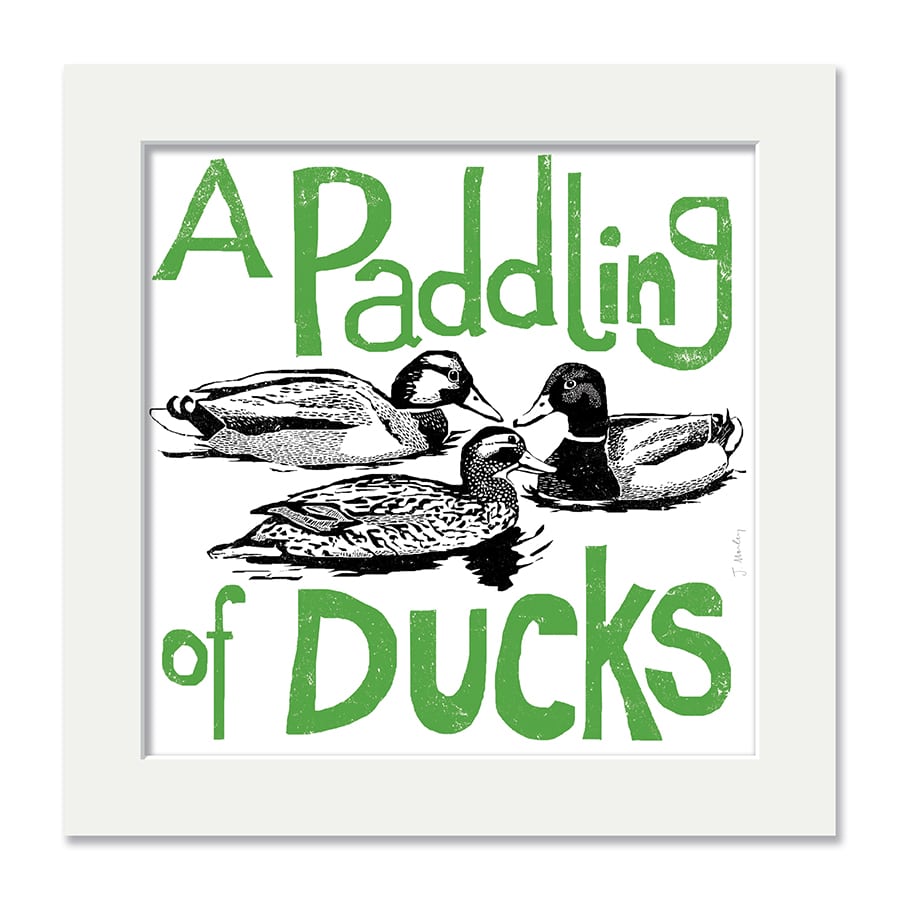 Ducks Collective Noun Mounted Print