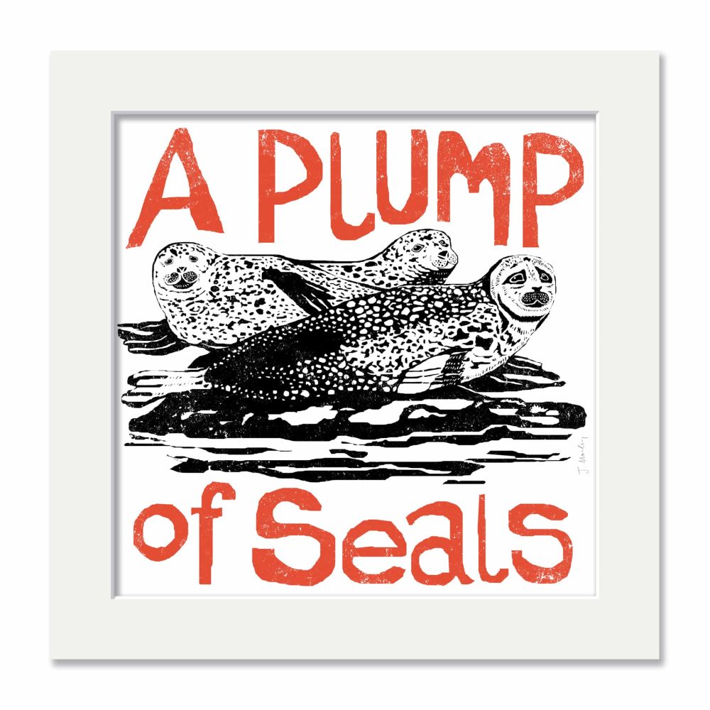 Seals Collective Noun Mounted Print